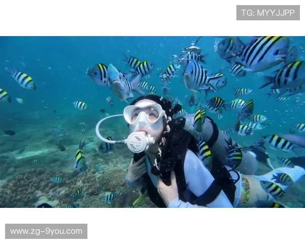 自由潜水比赛,潜入海底的宁静世界,自由潜水视频 自由潜水比赛,潜入海底的宁静世界,自由潜水视频